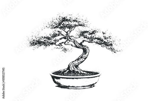 Elegant bonsai tree in a classic pot design. Vector retro hand drawn illustration.
