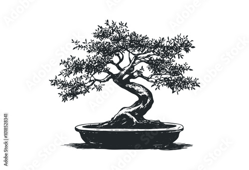 B&W illustration of a bonsai tree. Vector retro hand drawn illustration.