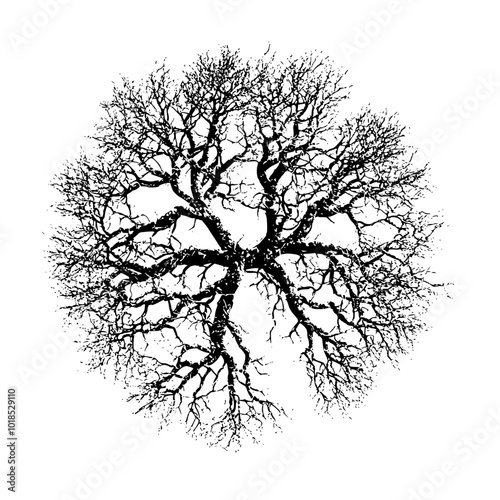 Mandala tree