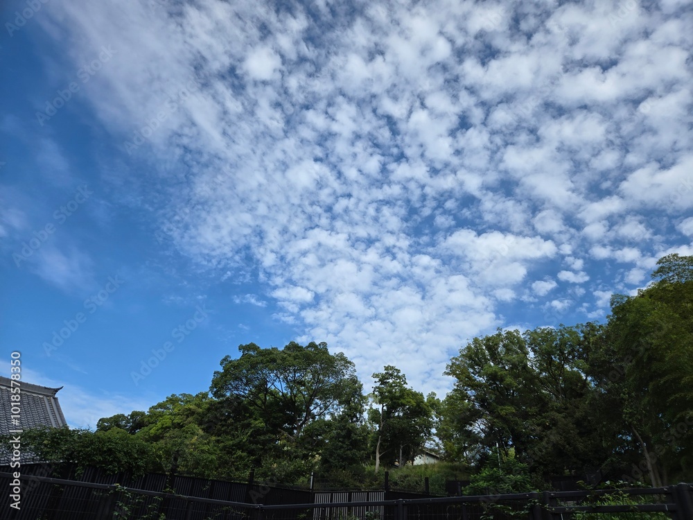 Fototapeta premium Japan Railway Station Train Travel with a view of the city center and the beautiful outside of the train tracks