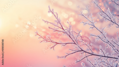 Frost-covered branches against a pastel gradient sky at sunrise. Winter nature photography with soft lighting. 