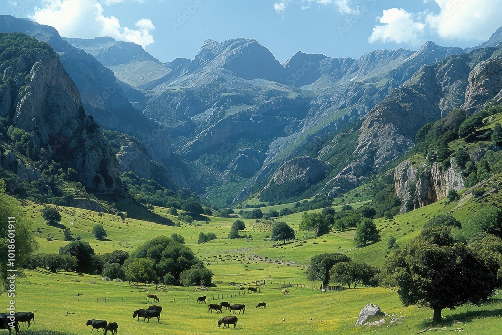 Cattle Grazing in a Valley Surrounded by Majestic Mountains Cattle Grazing in a Valley Surrounded by Majestic Mountains