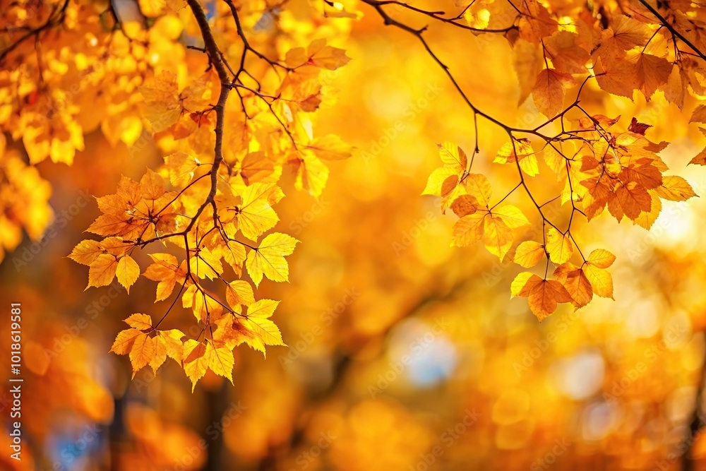 Autumn warm background with yellow leaves on tree branches, selective focus and tilted angle Autumn warm background with yellow leaves on tree branches, selective focus and tilted angle