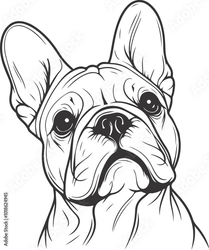 Line art French bulldog illustration. Ink style, cute animal for print Vector linear silhouette.