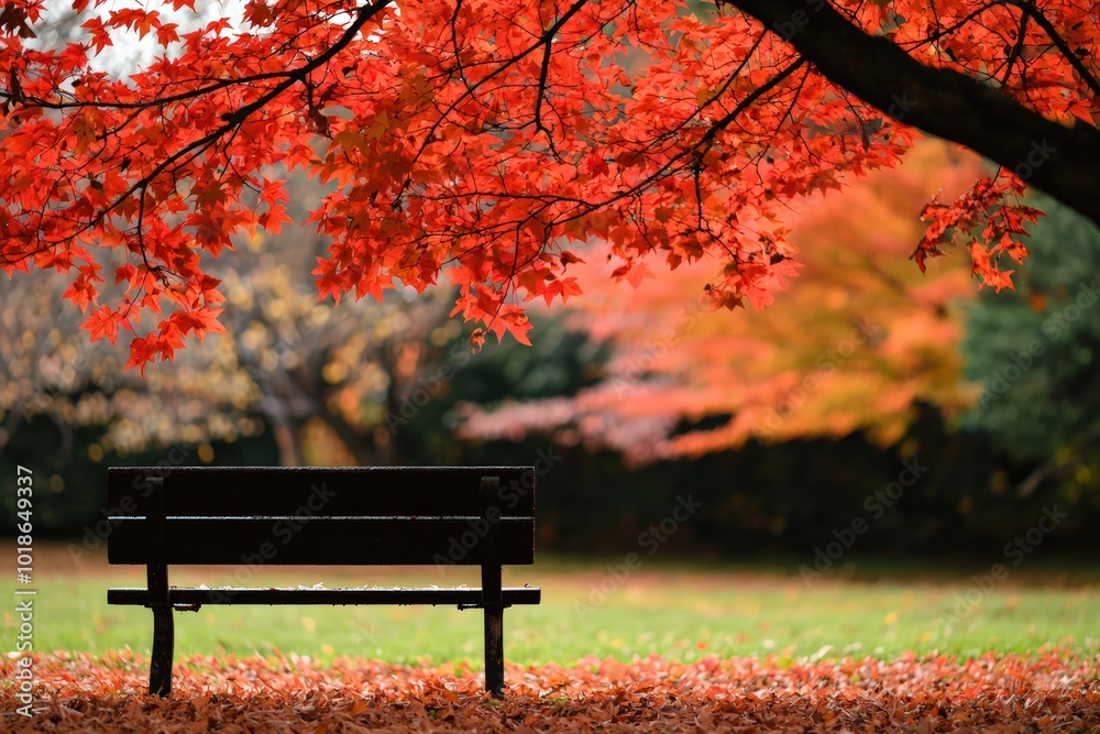 A tranquil park scene featuring a black bench under vibrant red autumn foliage, perfect for relaxation or reflection. A tranquil park scene featuring a black bench under vibrant red autumn foliage, perfect for relaxation or reflection.