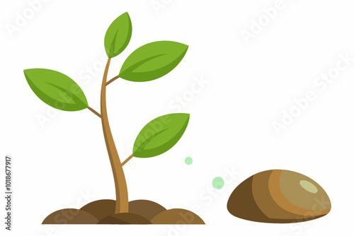 Sapling and stone vector illustration