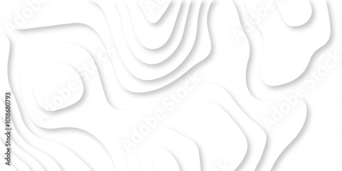 Vector white art papercut design Topographic geometric map relief texture with curved layers. Abstract luxury white modern 3d papercut, topography map circle and wave line smooth multilayer pattern. 