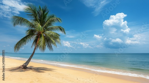 A single palm tree sways gently on a sandy beach under a clear blue sky with fluffy white clouds. The calm, turquoise ocean stretches out to the horizon, creating a serene tropical paradise.