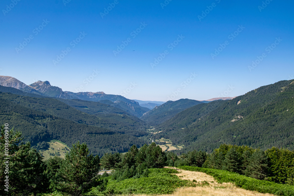 Fototapeta premium landscape with sky