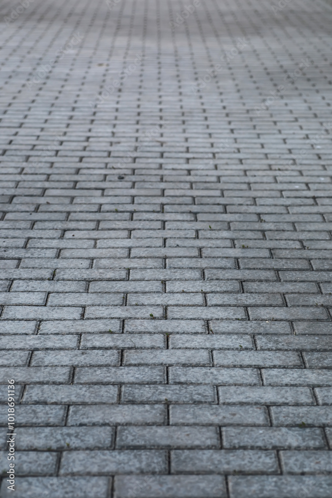 Gray Stone Brick Walkway Pattern - Geometric Urban Pavement and Modern Outdoor Design Gray Stone Brick Walkway Pattern - Geometric Urban Pavement and Modern Outdoor Design