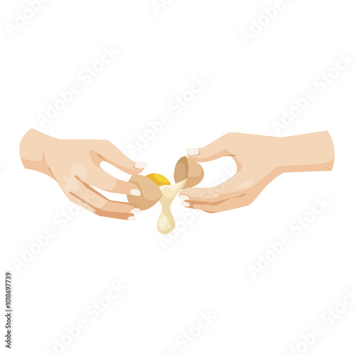 Two hands cracking an egg with yolk and white spilling out. Vector illustration