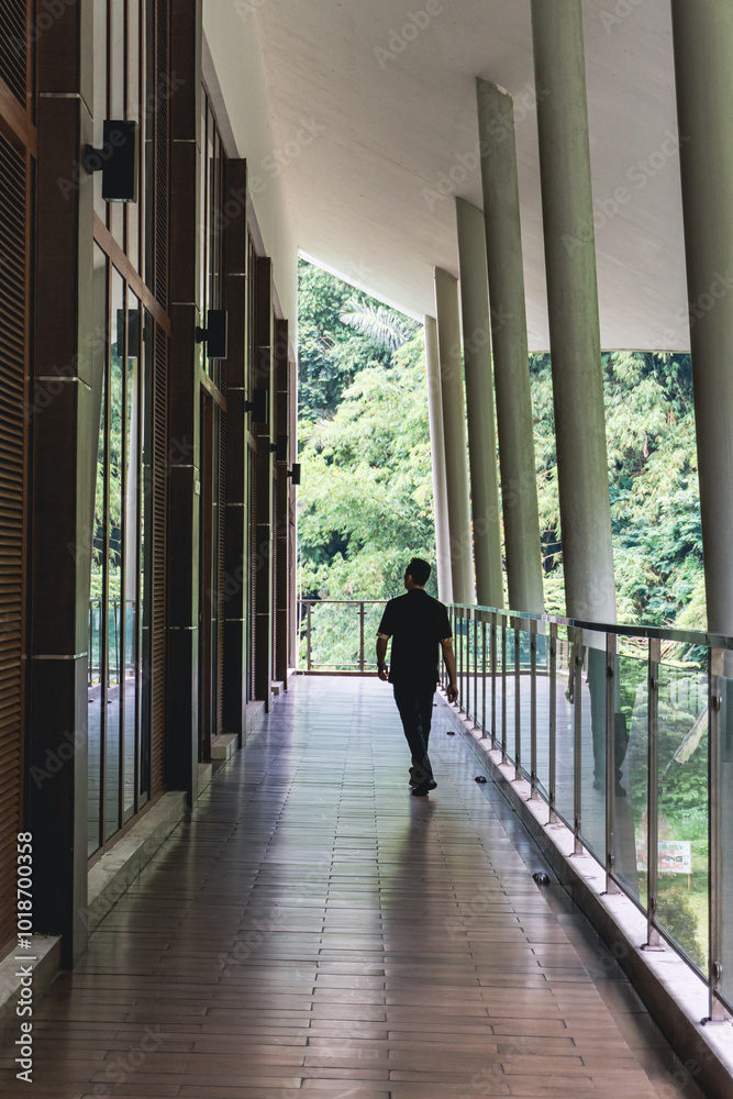 A man walks in the corridor in a building near beautiful green trees A man walks in the corridor in a building near beautiful green trees
