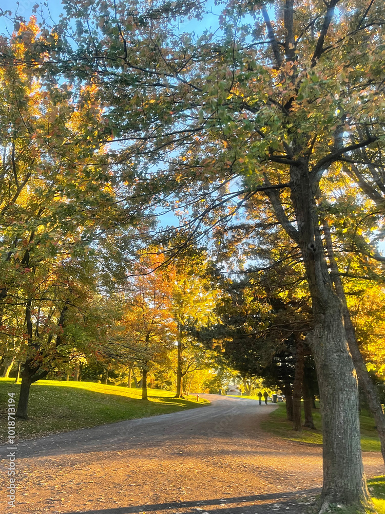 Pathway through the park to look at the fall foliage during the sunset