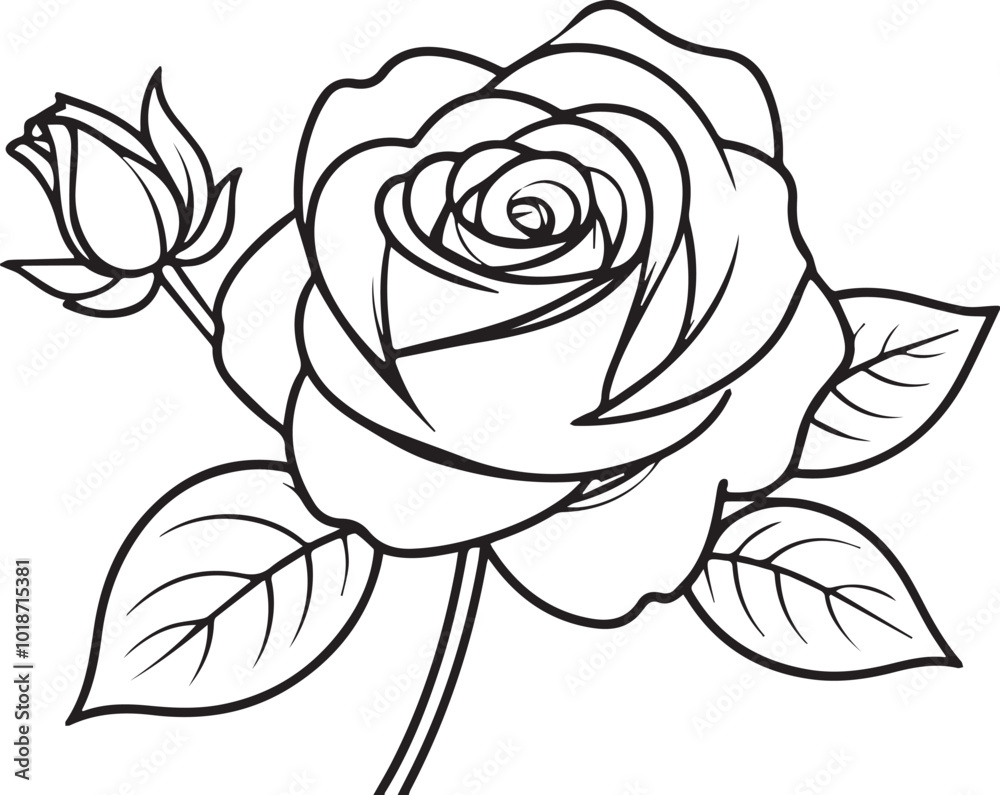 A vector illustration of a single elegant rose with curled rose leaves. A vector illustration of a single elegant rose with curled rose leaves.