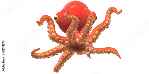 octopus isolated on a Transparent Background