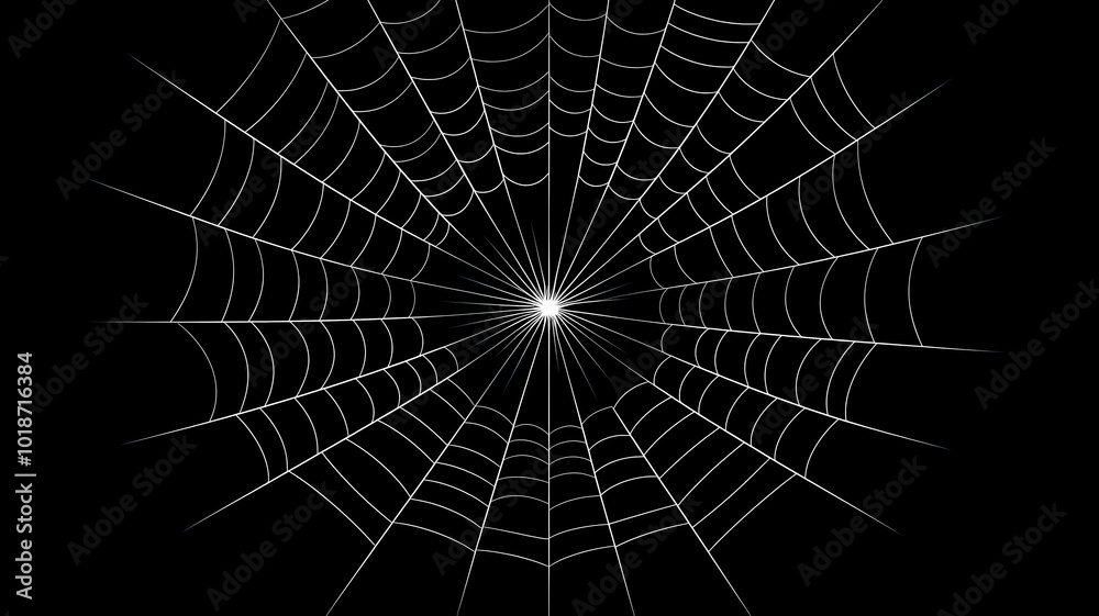 Fototapeta premium Halloween spider web simple illustration