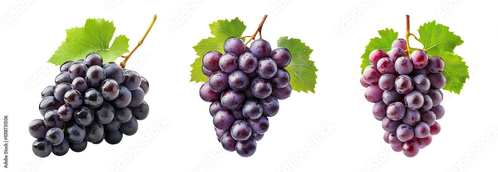 Fresh grapes on transparent background