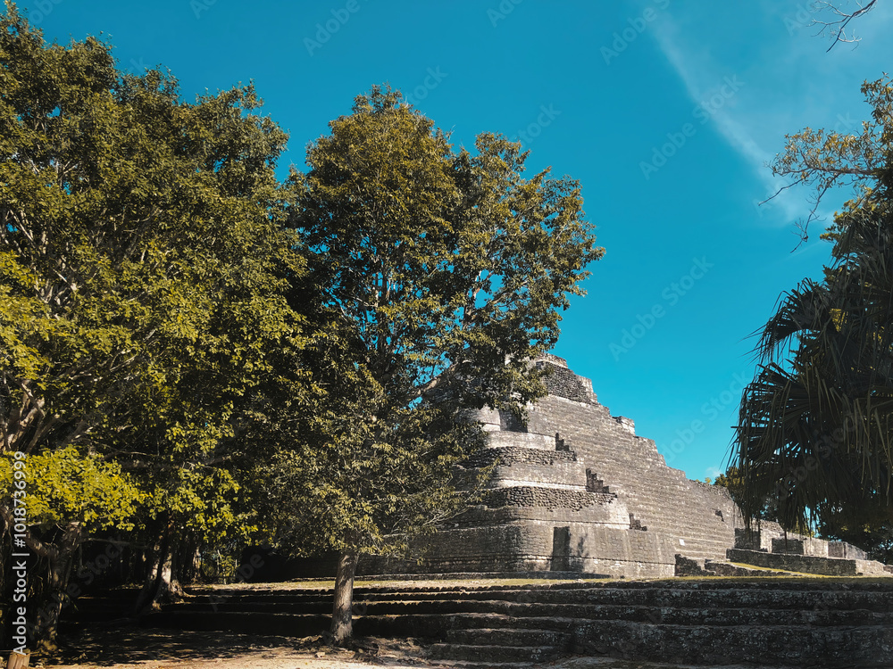 Ancient Mayan Pyramid Surrounded by Lush Greenery Under a Clear Sky
Ancient Mayan Pyramid Surrounded by Lush Greenery Under a Clear Sky