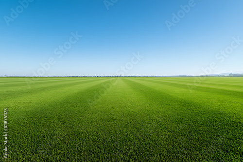 Cricket Pitch Field Background | Perfect for Sports Themes and Event Promotions