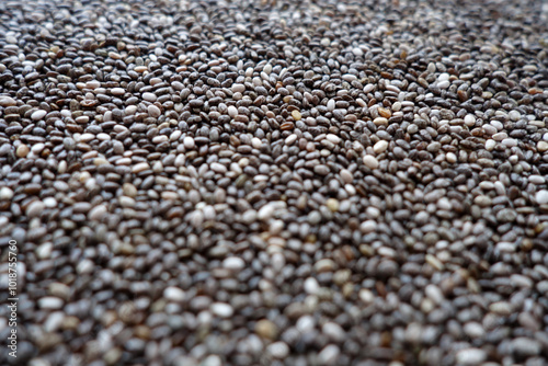 Raw soya beans background with blur effect close-up.