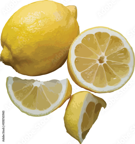 The Bright Side Citrus Delight Of Fresh Lemons Vector Illustration On White Background