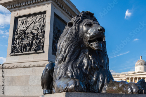 Obraz na plátně Trafalgar Square , London, UK: Landseer Lions and Tall stone pillar of Nelson's
