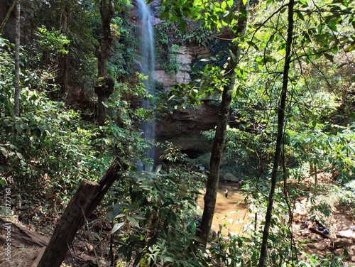 O Jalapão está localizado no extremo leste do Tocantins, região norte do Brasil photo