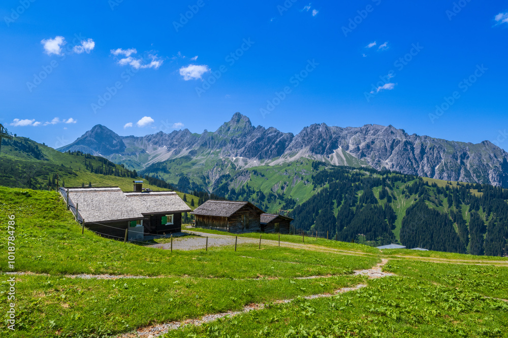 Obraz premium Alm on the Golm with Zimba mountain in the background, Montafon Valley, State of Vorarlberg, Austria
