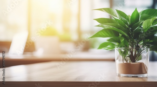 Bright modern office interior with plants and large windows overlooking a cityscape on a sunny day