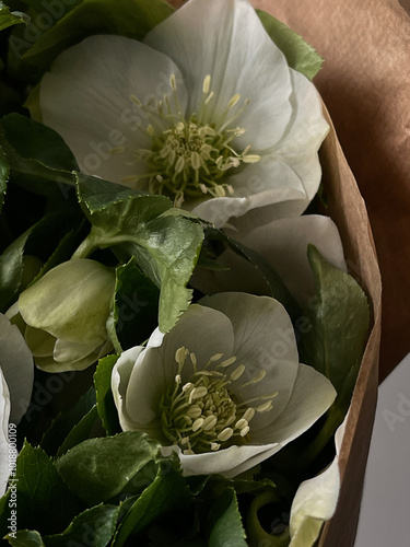 Bouquet of white flowers in wrap