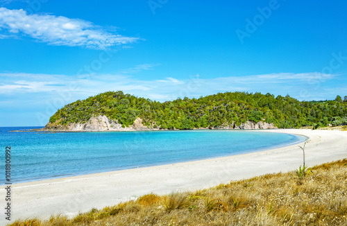 Matarouri Beach, North Island, New Zealand, Oceania. photo