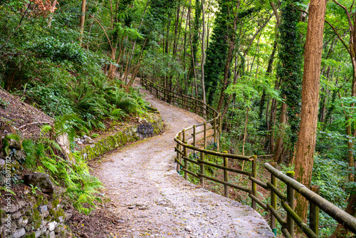 The winding trail of the Sentiero del Viandante offers hikers a serene experience through lush forests, with the sounds of nature surrounding them along the beautiful Lake Como. photo