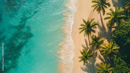 Fototapeta Naklejka Na Ścianę i Meble -  Aerial view of a beautiful tropical beach with turquoise water, white sand, and palm trees.