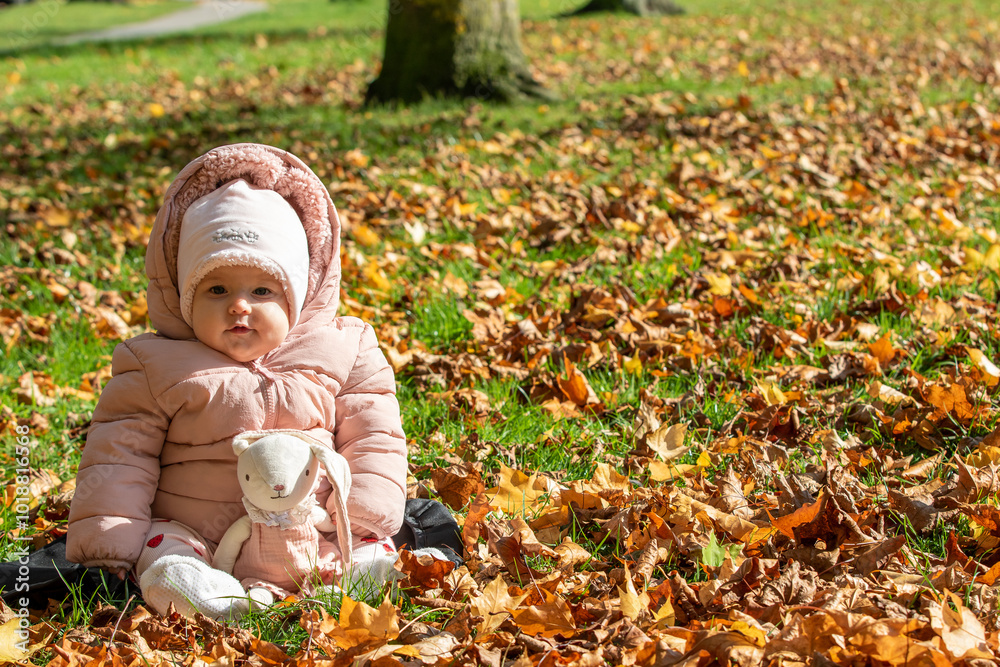 Baby Enjoying Autumn in the Park Baby Enjoying Autumn in the Park