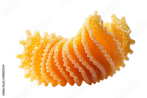 Vibrant orange seashells arranged elegantly against a white background, showcasing their unique ruffled patterns. photo