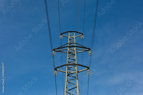Electric Trellis Pylon

 photo