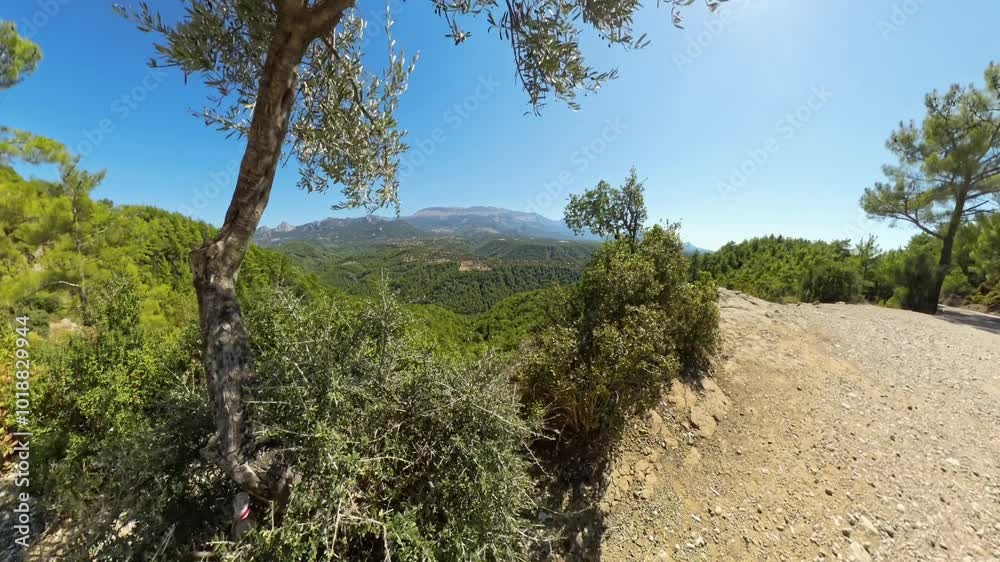 Walking along the cliff. A wide-angle shot of a lush, green valley with mountains in the distance under a bright, clear sky. The scene captures the vast natural landscape in a panoramic view. Walking along the cliff. A wide-angle shot of a lush, green valley with mountains in the distance under a bright, clear sky. The scene captures the vast natural landscape in a panoramic view.
