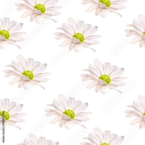 chamomile seamless pattern watercolor illustration isolated on white background base for design of postcards textile tableware wedding invitations