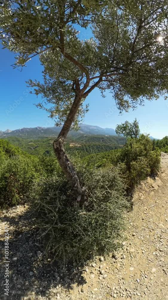 Walking along the cliff. A wide-angle shot of a lush, green valley with mountains in the distance under a bright, clear sky. The scene captures the vast natural landscape in a panoramic view. Walking along the cliff. A wide-angle shot of a lush, green valley with mountains in the distance under a bright, clear sky. The scene captures the vast natural landscape in a panoramic view.