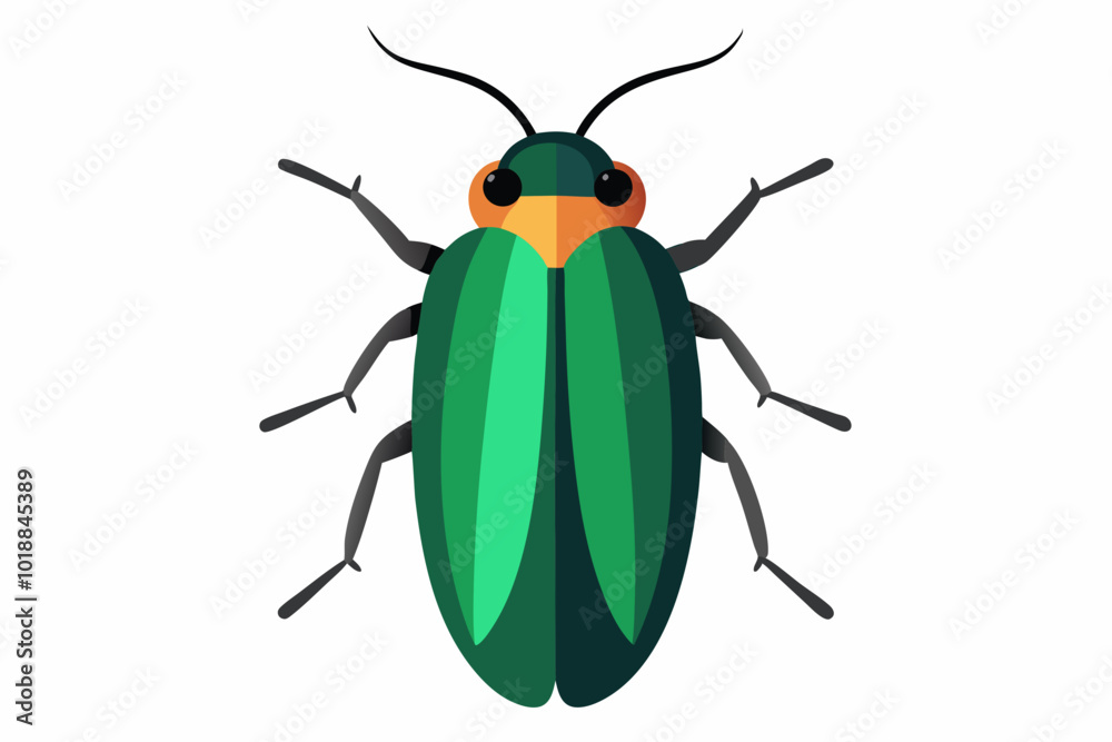 Click Beetle Insects creative vector illustration on a white background Click Beetle Insects creative vector illustration on a white background