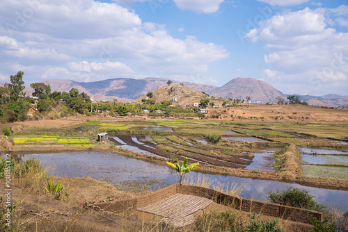 Wide landscape in central Madagascar near Ampefy with rice fields, hills and trees under a blue sky with clouds photo