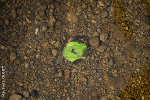 Crystal Object With Green Detail In Water photo