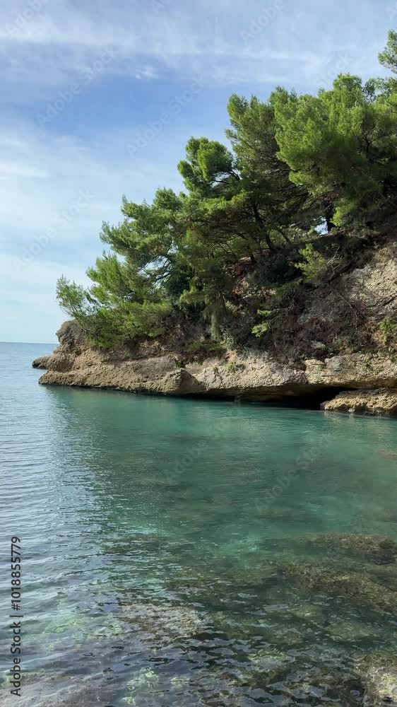 Clear sea and pine trees on coastal rock, vertical video. Clear sea and pine trees on coastal rock, vertical video.