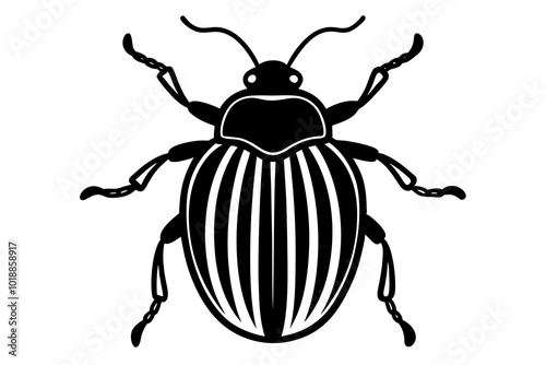 Potato Beetle insects vector illustration on a white background