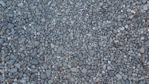 Wallpaper Mural Texture of road made of small gray stones with slight camera movement. Torontodigital.ca