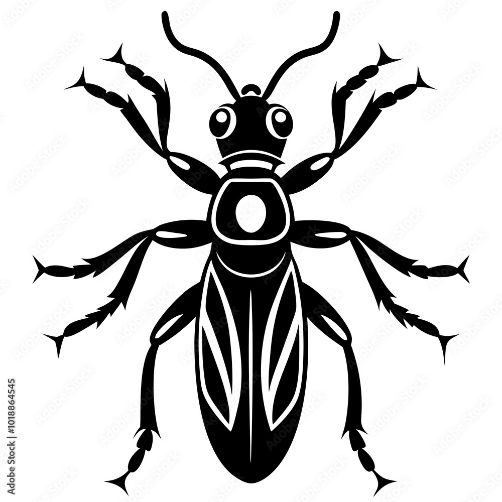A Tiger Beetle insect vector illustration on a white background A Tiger Beetle insect vector illustration on a white background