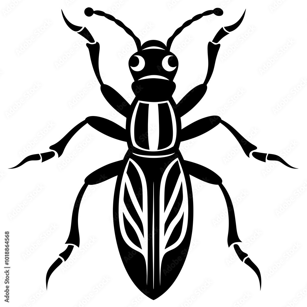 A Tiger Beetle insect vector illustration on a white background A Tiger Beetle insect vector illustration on a white background