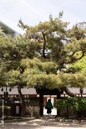 Traditional Korean temple in Seoul with roof architectural details and greenery.  photo