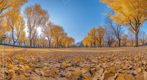 Golden autumn leaves blanket path in a scenic park during a sunny day