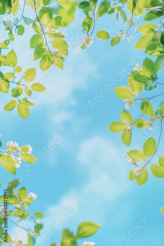 Bright green leaves against a clear blue sky during a sunny day in a tranquil...
